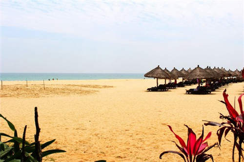 茶不多先生奶茶