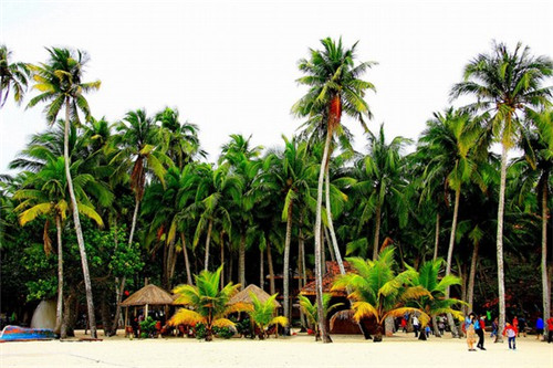 简阳火锅食材超市