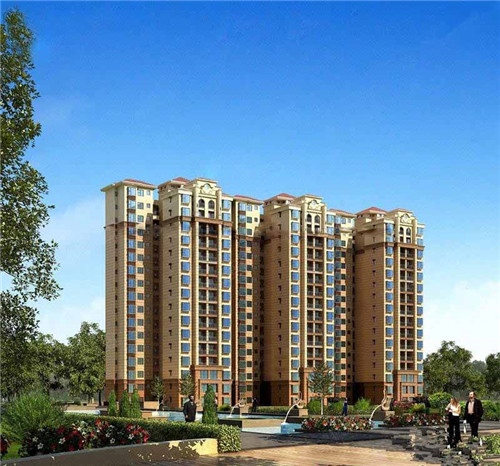 洛大叔炒鸡大盘鸡