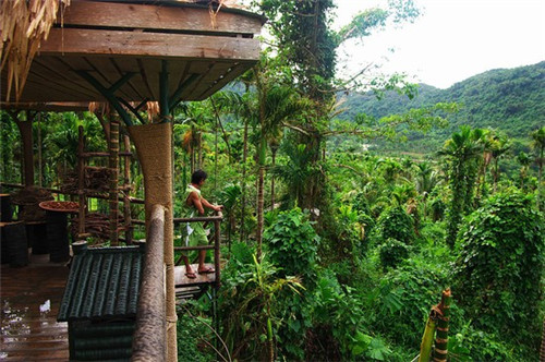 在陇南市加盟番薯王子开店能赚钱吗，在陇南市加盟奶茶知名不错加盟品牌有哪些