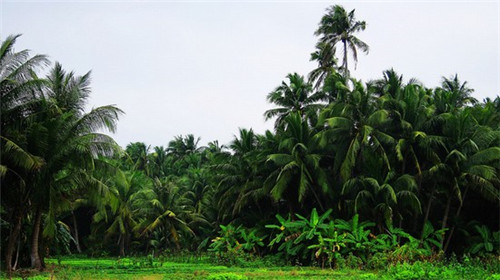 起名五行克制什么行业好（起名五行克制什么行业好一点）