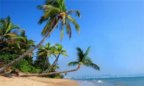 2026骨盆带连锁店哪些品牌比较火爆，骨盆带的使用方法