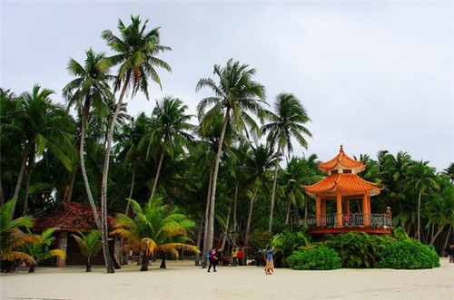 七台河市创业干果机哪些品牌比较好，七台河创业园在哪