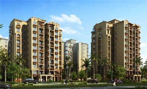 盲品英文（盲果的英语怎么说）