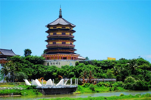 石家庄旅行团去普陀山多少钱一天（石家庄去普陀山最佳路线）